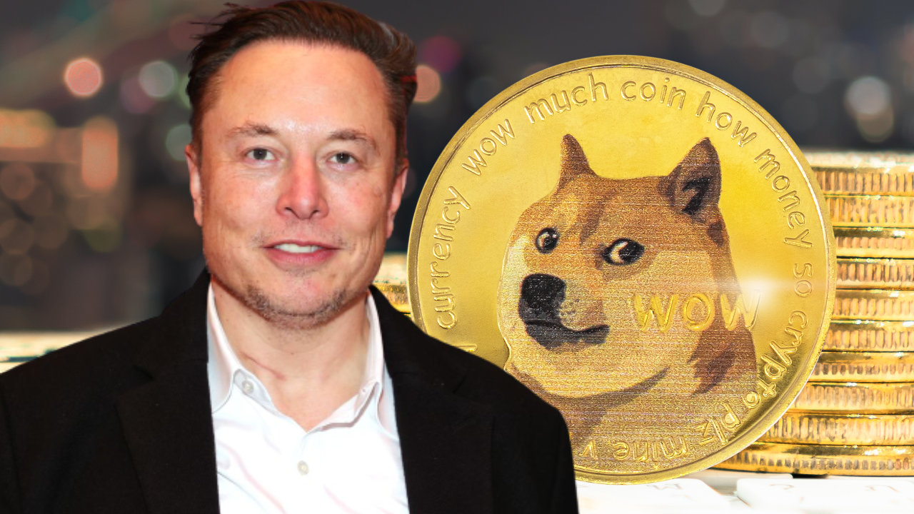 This Elon Musks DOGE