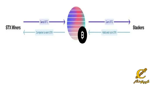 نقش ماینرها و استکرها در PoX