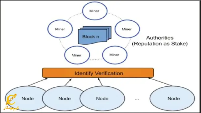 نودهای بلاک چینی مرجع (Authority Nodes)