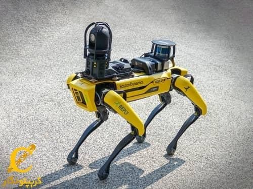 سگ‌های رباتیک برای بازیابی 8000 بیت‌کوین گمشده