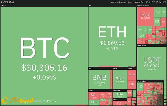 Daily performance of the digital currency market