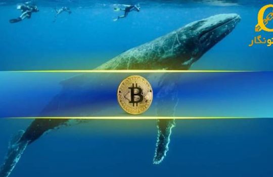 رکورد جدید خرید بیت کوین توسط نهنگ ها