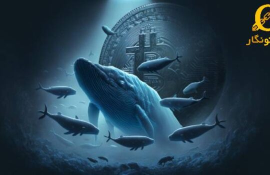 نهنگ‌های بازار شروع به فعالیت انباشتی کردند
