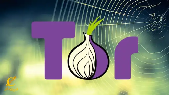 ورود به دارک وب با مرورگر تور TOR