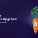 تپروت بیت _کوین چیست؟ و چرا برای بلاکچین BTC سودمند است؟