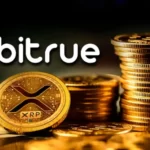 معرفی صرافی بیترو (bitrue) برای ایرانیان و آشنایی با خدمات آن