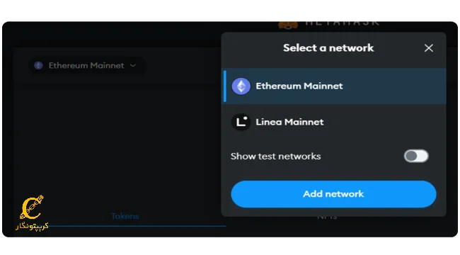  انتخاب شبکه‌ها در متامسک