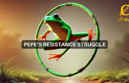 قیمتPEPE در حال تثبیت