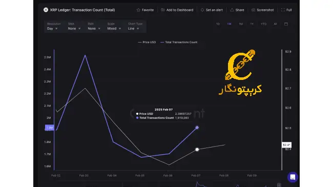 ریپل