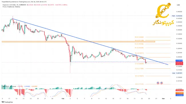 یا جهش دوج کوین؟2