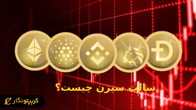 سالت سیزن چیست؟