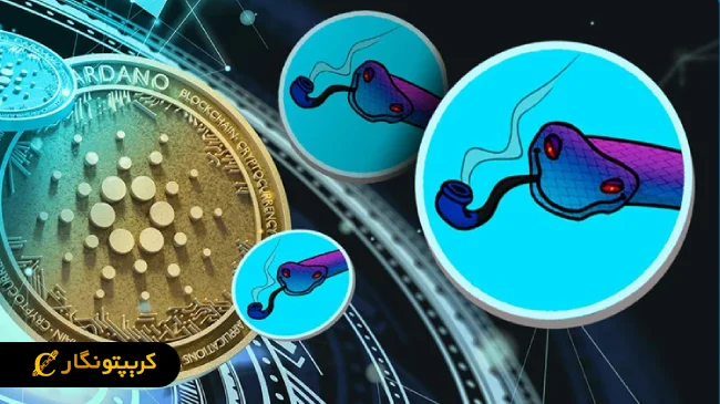 میم کوین آینده دار سنک (SNEK)