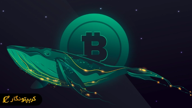 انباشت سنگین بیت کوین توسط نهنگ‌ها!