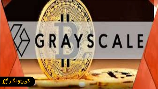 بررسی توکن‌های نوظهور توسط شرکت Grayscale 