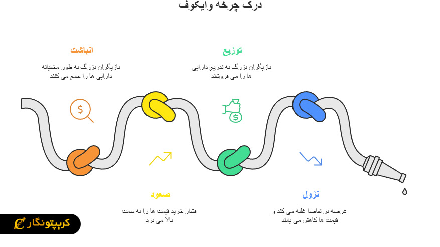 فازهای اصلی چرخه وایکوف