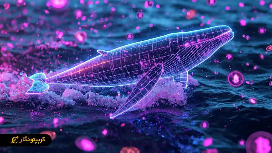 ریسک ها و فرصت های معامله در بازار نهنگ های کریپتو