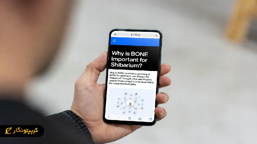 چرا bone برای شیباریوم مهمه