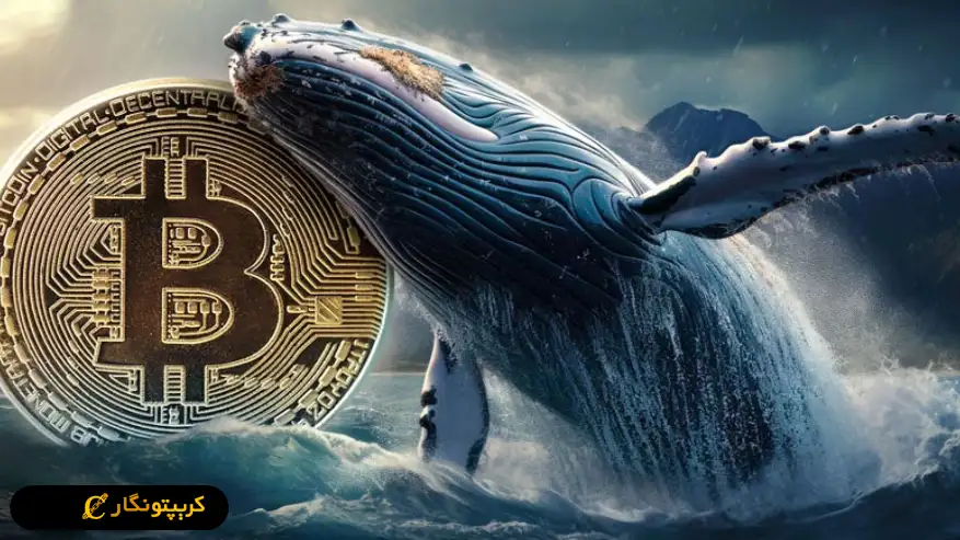 دولت بوتان 30 میلیون دلار بیت کوین منتقل کرد، نهنگ ها در تکاپو!