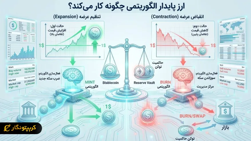 ارز پایدار الگوریتمی