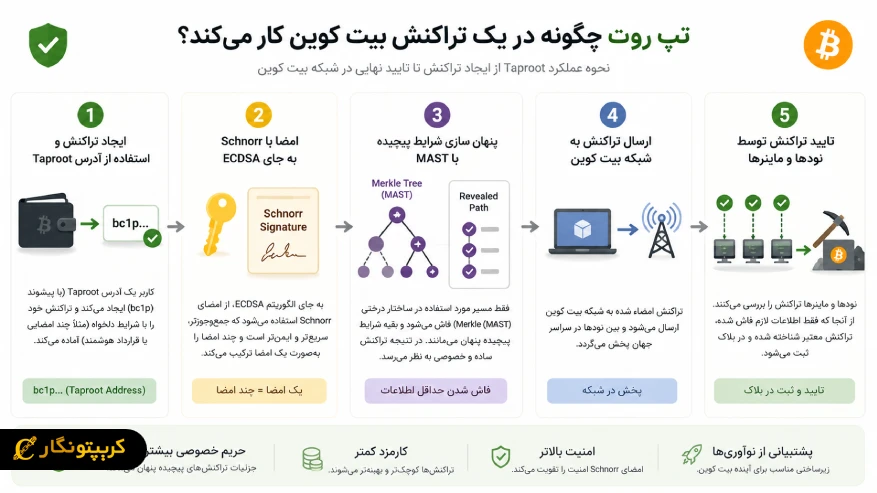 تپ روت چگونه در یک تراکنش بیت کوین کار میکند؟