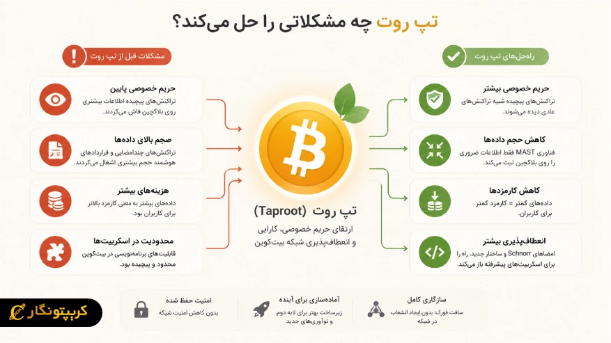 تپ روت چه مشکلاتی را حل میکند؟