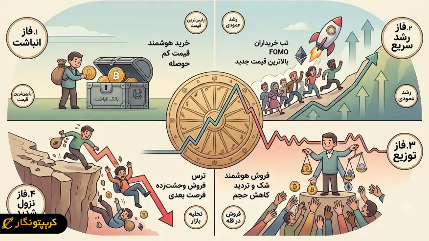 چهار فاز اصلی چرخه کریپتو