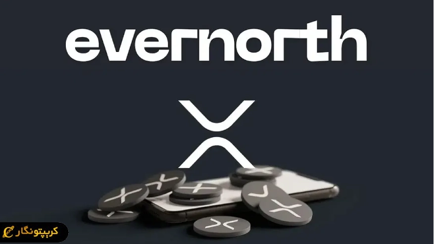 رشد ۵ درصدی سهام خزانهداری XRP شرکت Evernorth