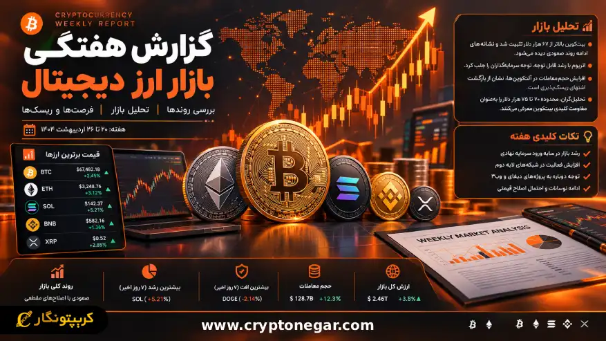 نهنگ ها ۳.۰۳ میلیون بیت کوین دارند